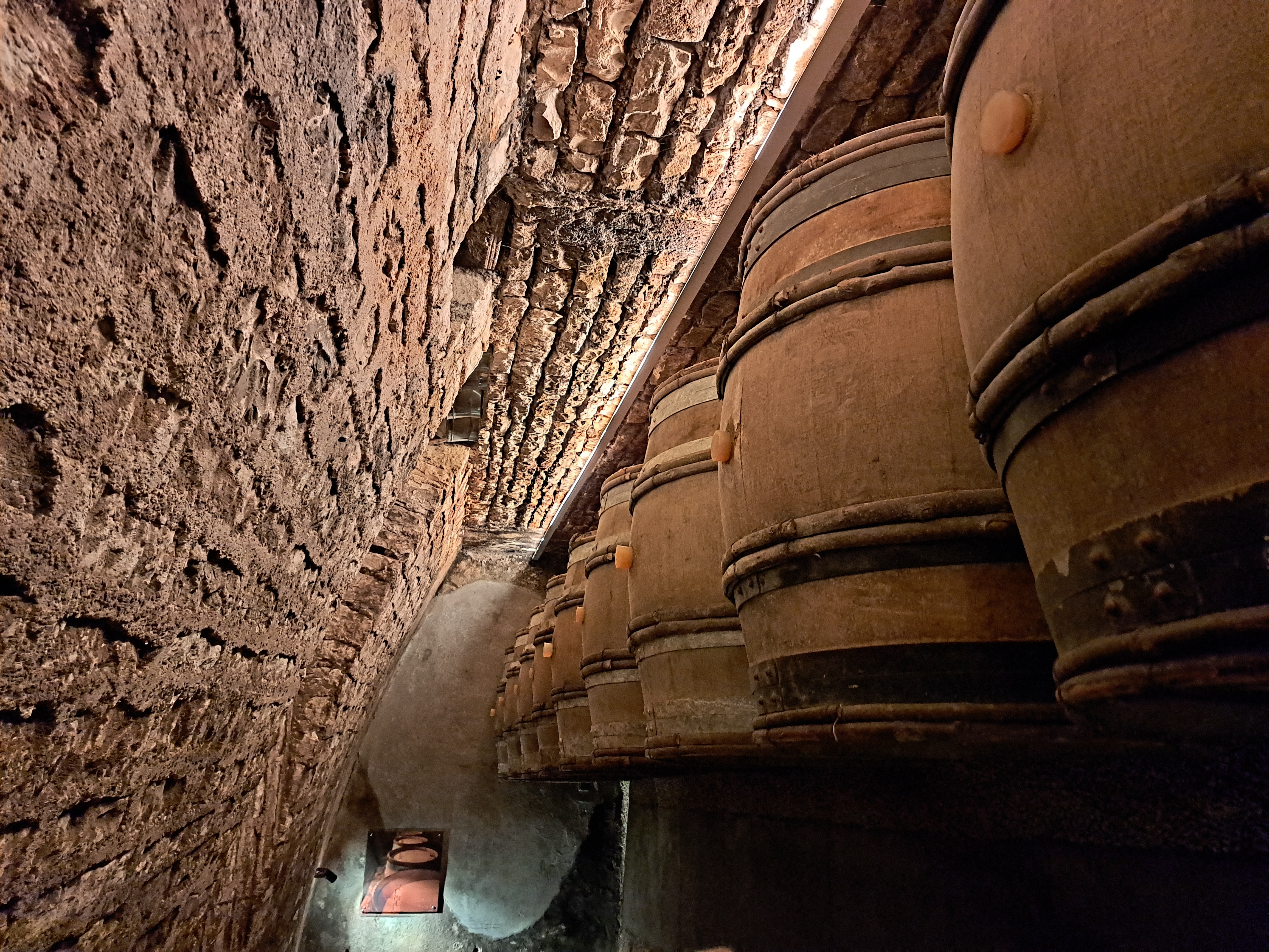 Burgundien pièces at Maison Champy in Beaune